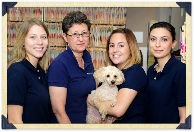 Reception Staff